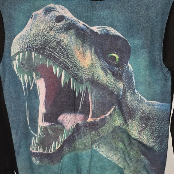 Dinosaur Print Long Sleeve Hoodie for Kids - Picture 4 of 4